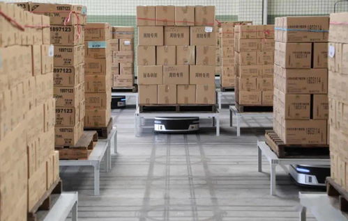 十問曠視印奇 AI公司步入深水區，友商其實不是友商，裝卸搬運的現實與挑戰