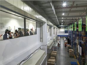 物流專業(yè)學(xué)生赴湯臣倍健透明工廠開展物流代理服務(wù)見習(xí)