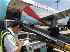 杭州蕭山億航貨運代理部運營部 高效裝卸搬運服務介紹