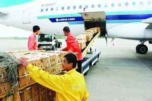 一站式解決方案 香港進口物流包稅回合肥，中科商務網聯手廣州天然馬國際貨運代理提供專業裝卸搬運服務